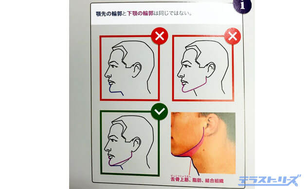 スカルプターのための美術解剖学 スカルプターのための美術解剖学 2