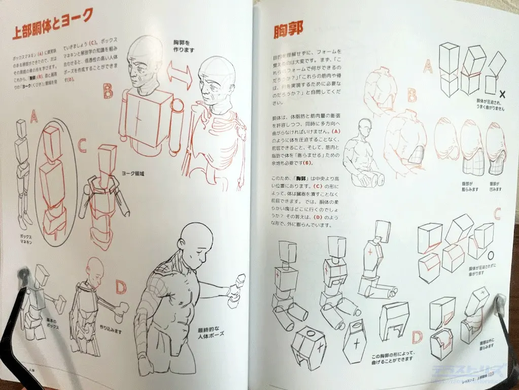 アーティストのための人体解剖学:ドローイングフォーム＆ポーズを