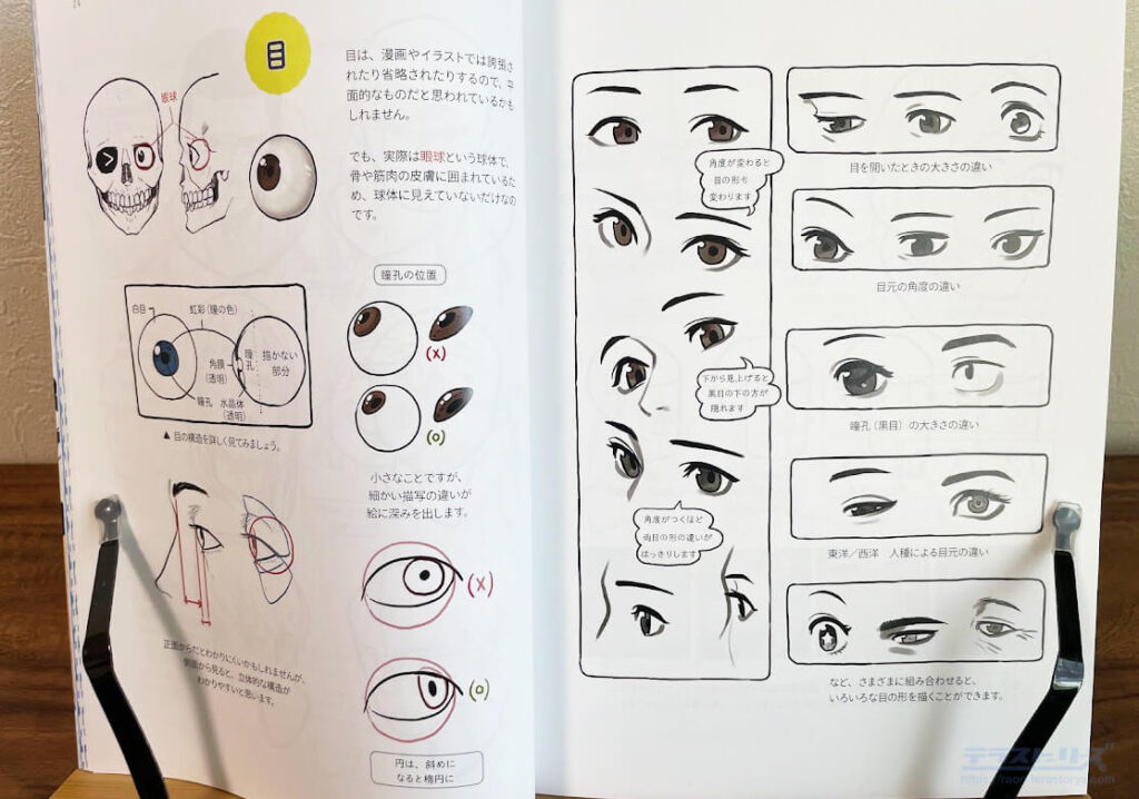 目の描き方
