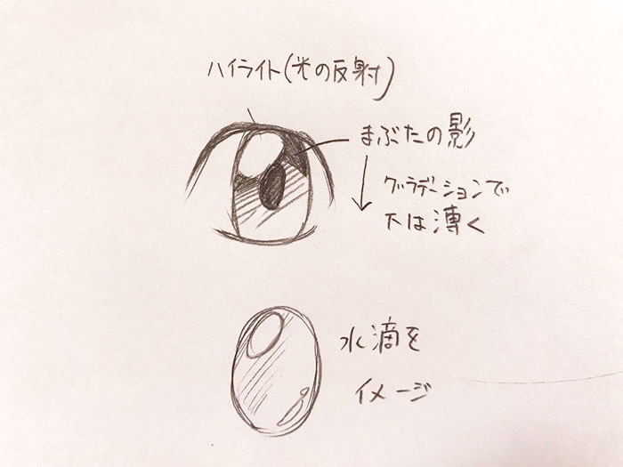 瞳の説明