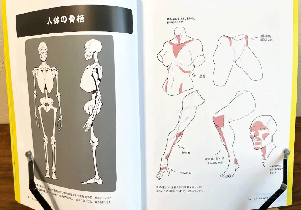 イラストの描き方で参考にすべきおすすめの本30冊！目的別に選び
