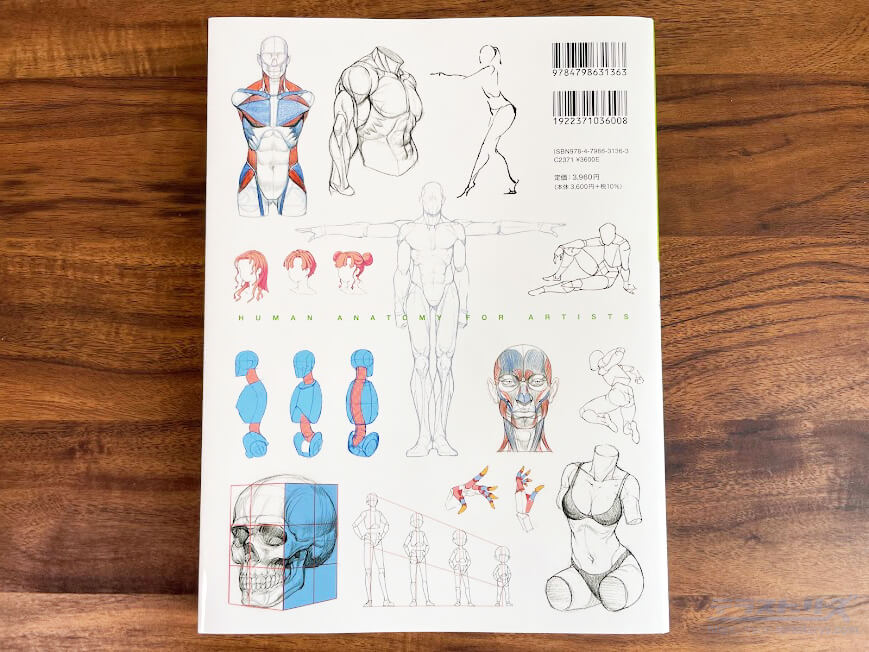 人体の描き方マスターガイドの裏表紙