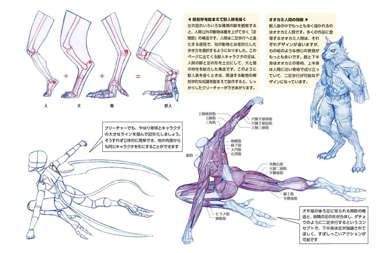 ファンタジー背景描き方教室とキムラッキの人体ドローイング　2点 キム・ラッキの人体ドローイング | Ohmsha