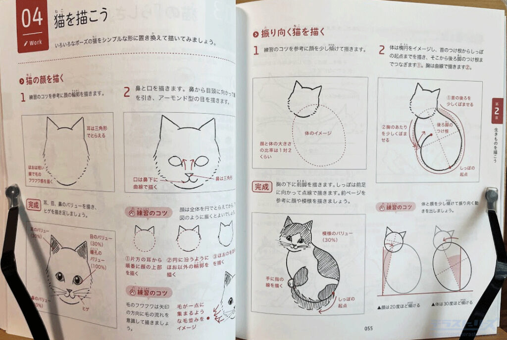 ネコの描き方