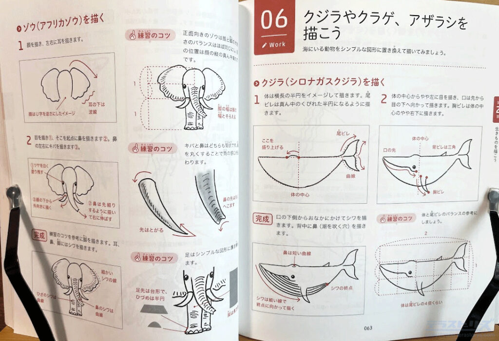 クジラの描き方