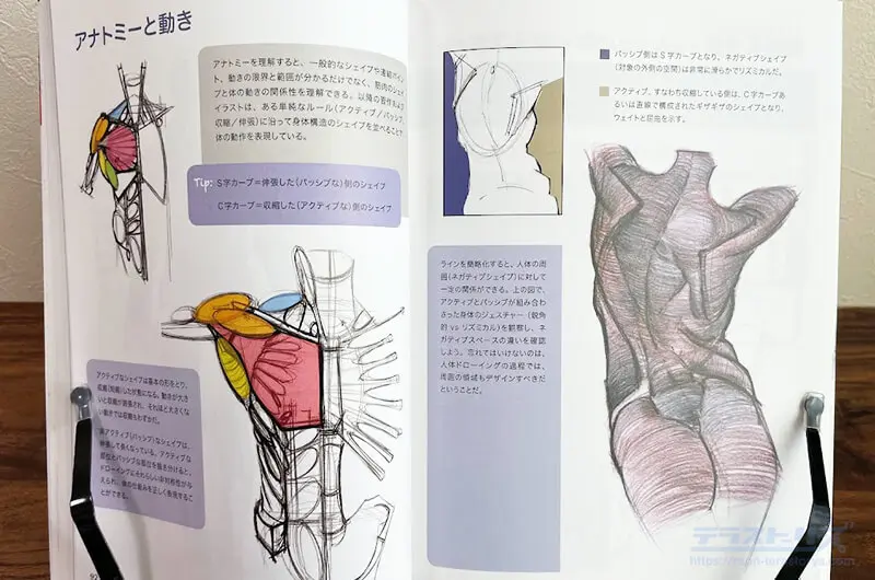 マイケルハンプトンの人体の描き方をレビュー！躍動感をとらえる