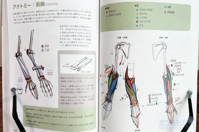 マイケル・ハンプトンの人体の描き方　スカルプターのための美術解剖学　まとめ売り マイケルハンプトンの人体の描き方をレビュー！躍動感をとらえる