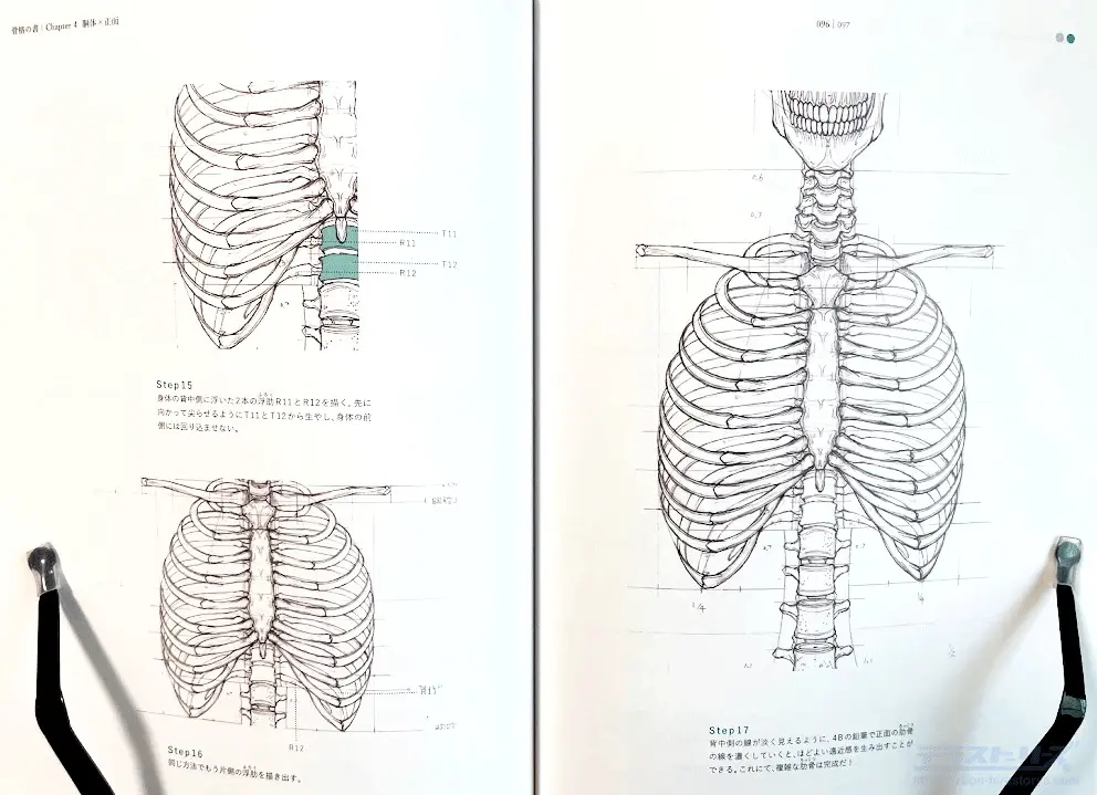 ☠️ガイコツ　医学教本　人体の骨格 ☠️ガイコツ 医学教本 人体の骨格 骨格の書-医学部解剖室の准教授