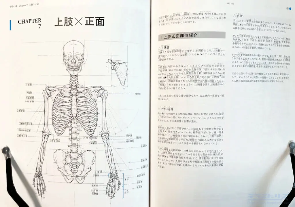 洋書【解剖学・骨格がわかる】レントゲン遊び　AMAZING X-RAYS　人体 洋書【解剖学・骨格がわかる】レントゲン遊び AMAZING X-RAYS