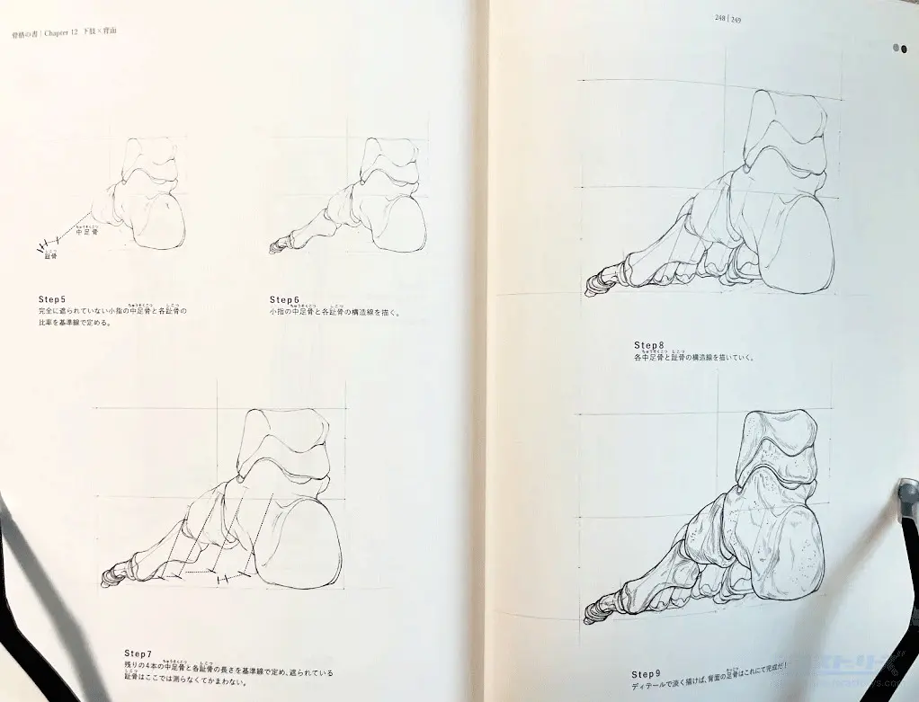 骨格の書-医学部解剖室の准教授が教える美術解剖学をレビュー！人体の