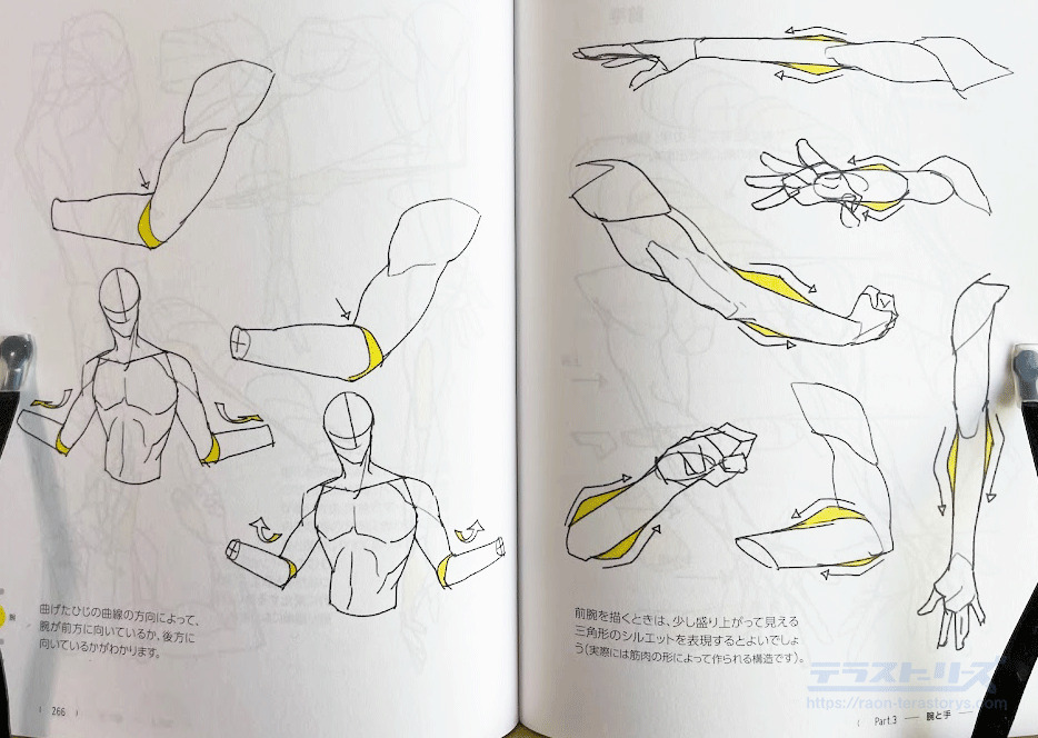 腕の描き方